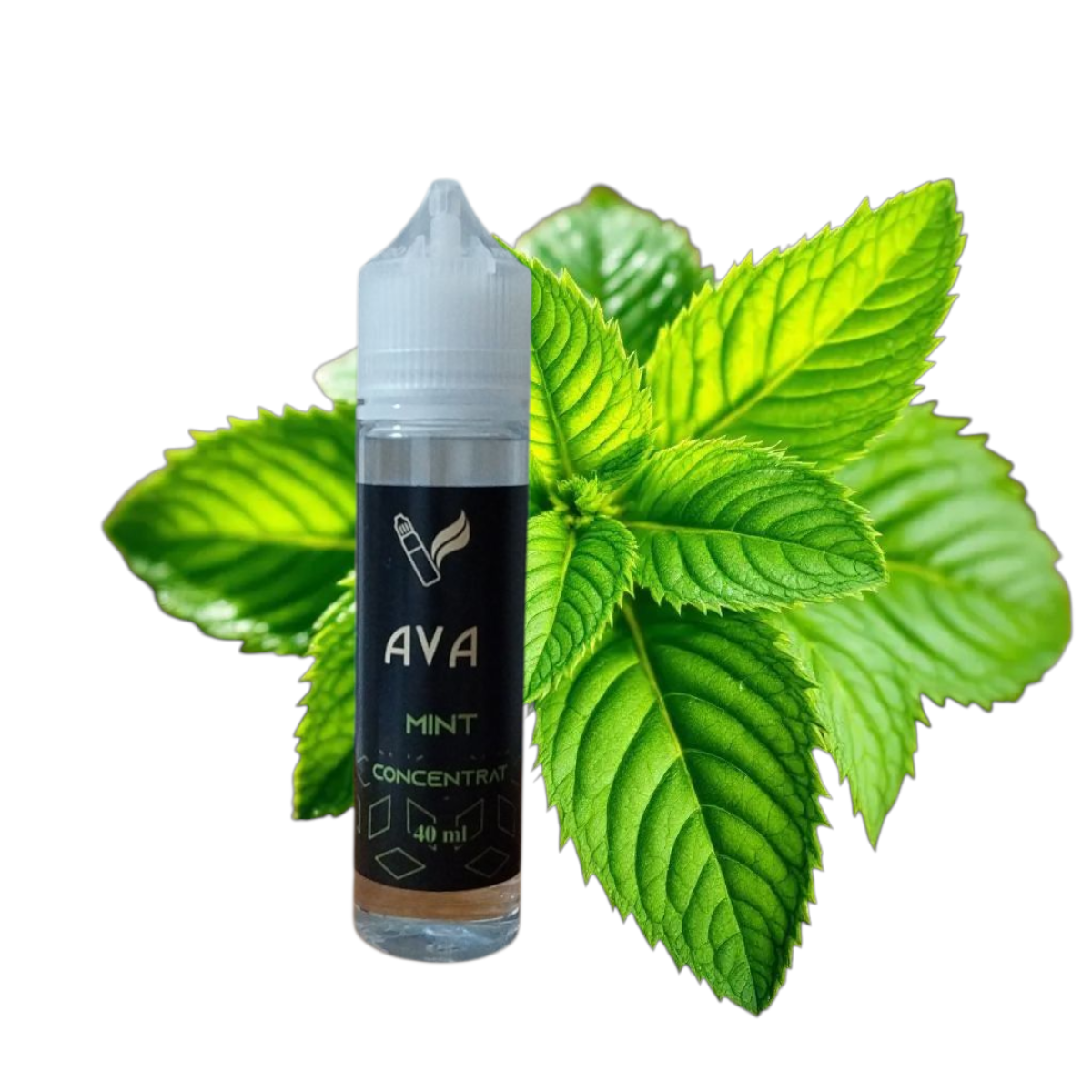 aroma mentolata  intensa i tonuri vegetale delicate, prospetime intensa si persistenta